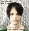 วิกเสริมผมแท้ BOY-TOPH77